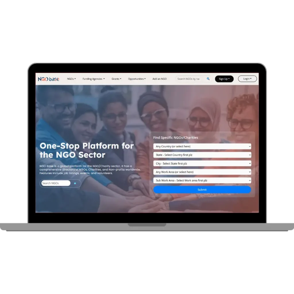 web design portfolio